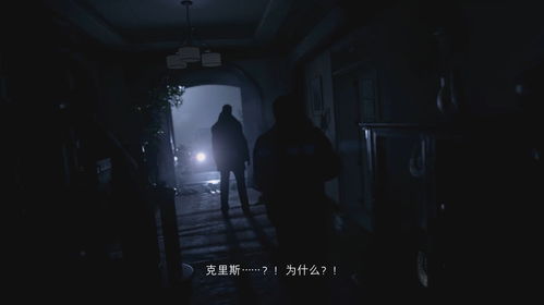 PS5 Pro 生化危机 9新补丁遭吐槽,移除光追还降低画质 PS5 Pro 生化危机 9新补丁遭吐槽,移除光追还降低画质