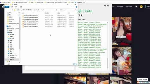示例代码，批量获取个人主页全部视频