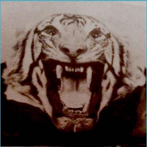 刺客信条编年史印度深度剧情解析，视频攻略及必备通关技巧大揭秘