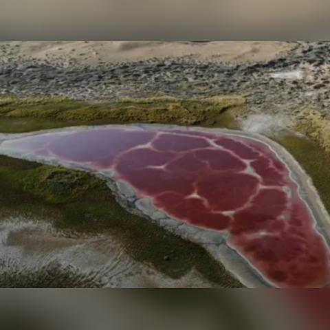 红色沙漠主机性能规格公布，玩家仍盼全新实机演示现身