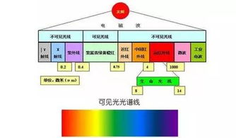一、客户端类型光谱，从官方化石到私服变种