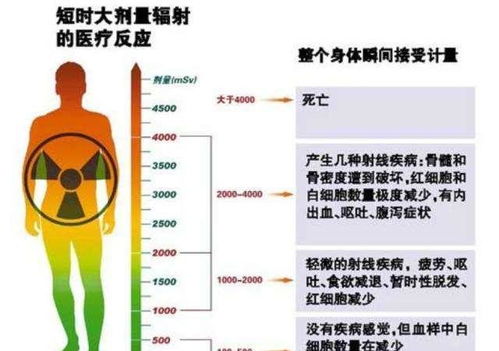 元素法类型深度解剖，3套配队公式让你的反应伤害翻3倍