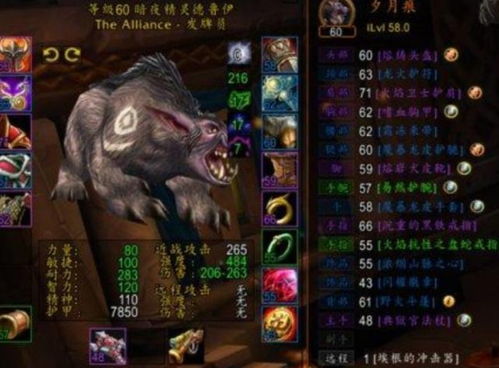 藏宝海湾皮裤绝版了吗？2026怀旧服实测数据告诉你答案