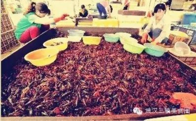 腾讯围地造城大动作，马化腾朋友圈晒养龙虾全家桶引关注