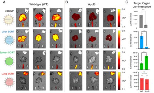 布洛克斯类型总出错？2026年Minecraft方块机制深度破解与实战应用