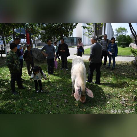 《奇迹时代4》新DLC“废墟重生”发售 售价88元 《奇迹时代4》新DLC“废墟重生”发售 售价88元