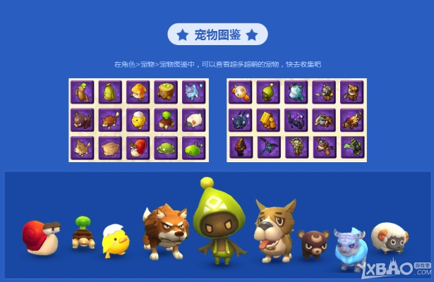 冒险岛2宠物捕捉终极指南,2026最新稀有宠物刷新机制与成功率提升秘籍 冒险岛2宠物捕捉终极指南,2026最新稀有宠物刷新机制与成功率提升秘籍