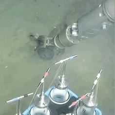 玩家更关心作业娃娃表情动态图是否逼真，而非有无被在意