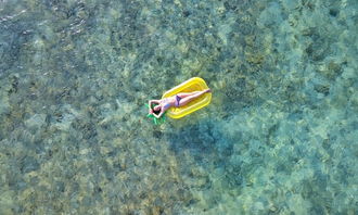 秋日回斗鱼总空军？枫丹4.2版本钓鱼系统深度拆解与全鱼种爆护指南