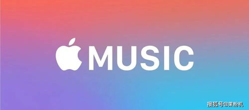 国区Apple Music的上线类型本质