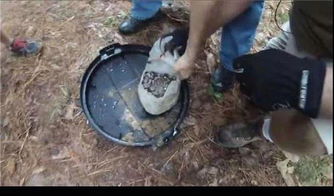 男子意外获得藏宝图挖出天价宝贝？2026最新寻宝法律红线与实战避坑指南