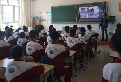 一、为什么你总找到快餐服？网站类型决定资源质量