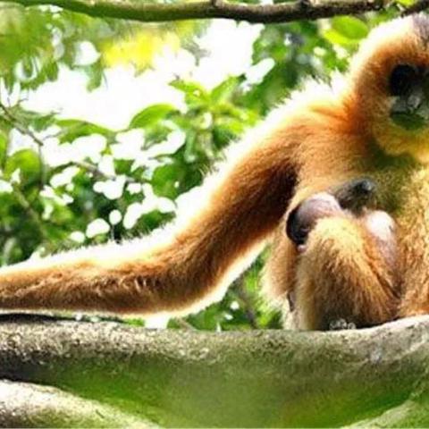 新爆料！漫威金刚狼为何舍弃大型开放世界设计？