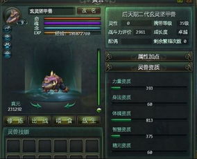 2026万兽山庄内功终极抉择,兽心诀深度机制拆解与三套T0搭配方案 2026万兽山庄内功终极抉择,兽心诀深度机制拆解与三套T0搭配方案