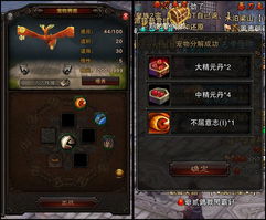 斗战神宠物进化技深度拆解，从入门到精通的避坑实战手册