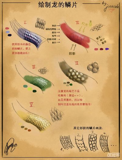 2026最新龙鳞类型全解析，3大核心分类与实战搭配指南