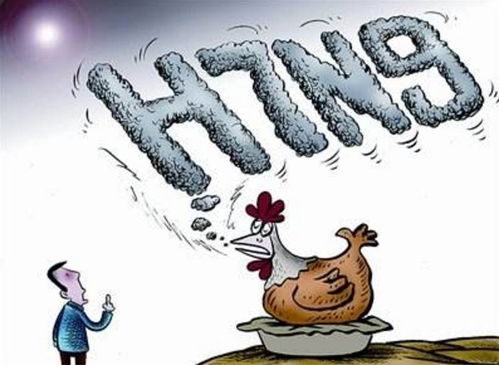 金团打工的本质是风险对冲而非技术碾压