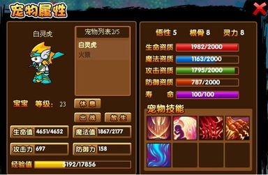 2026虎丸培养终极指南,造梦西游3攻击宠物天花板养成全解析 2026虎丸培养终极指南,造梦西游3攻击宠物天花板养成全解析