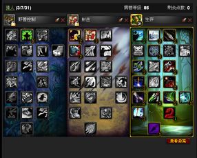 2026召唤加点总被团本踢？高伤生存双修方案1:1复刻实测