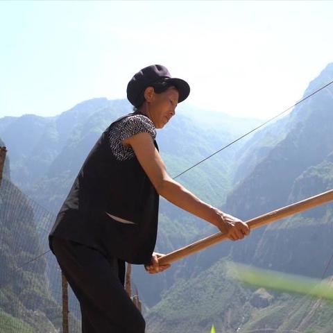 CF决战土豪金值得买吗？2026年实战数据+隐藏获取渠道曝光