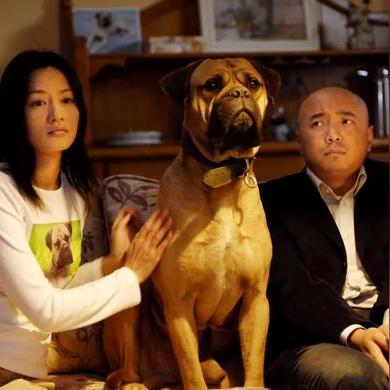 一、角色转移的底层逻辑与类型图谱