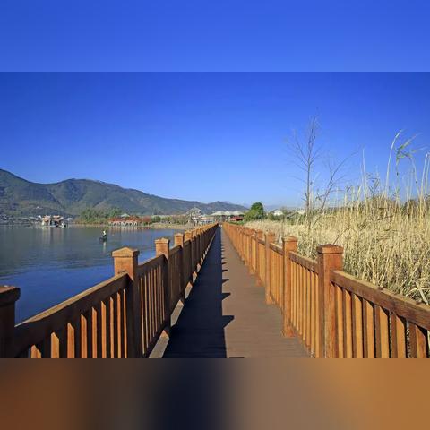 天堂2誓言暗天使职业深度解析,2026最新PVP天赋加点与装备搭配全攻略 天堂2誓言暗天使职业深度解析,2026最新PVP天赋加点与装备搭配全攻略