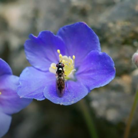 魔兽攻略，2026赛季大秘境治疗生存法则与数据化实战破局