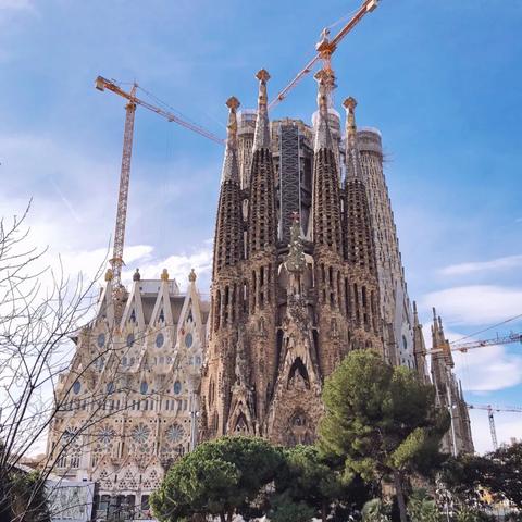 快乐家族微电影全解密，2026年最新观看指南与爆款幕后拆解