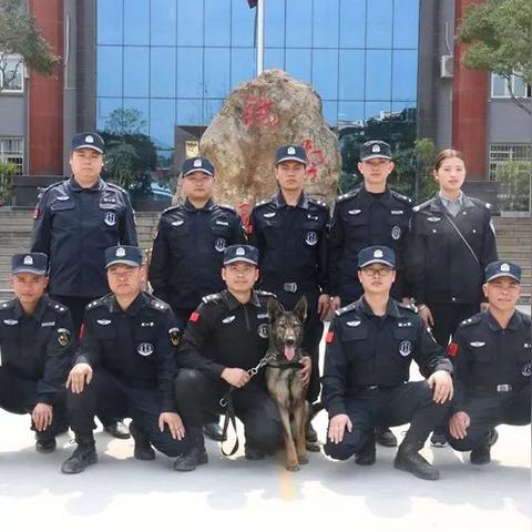 弹头奇兵2多人对战老输？2026年最新炸弹连锁反应战术拆解