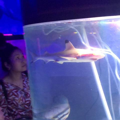 2026年3月最新,如何一眼识破鱼缸馆骗局?海洋馆玩家内部实战解码 2026年3月最新,如何一眼识破鱼缸馆骗局?海洋馆玩家内部实战解码