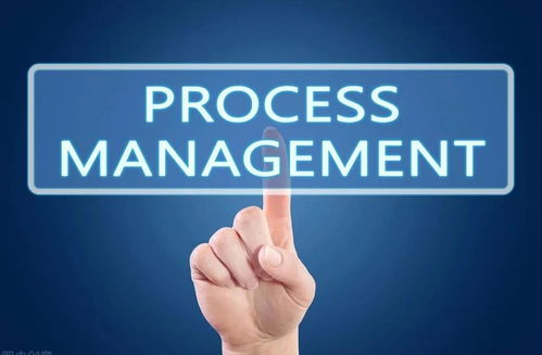 别再被伪朋克骗了！2026年真朋克类型硬核辨识指南与纯度测试标准