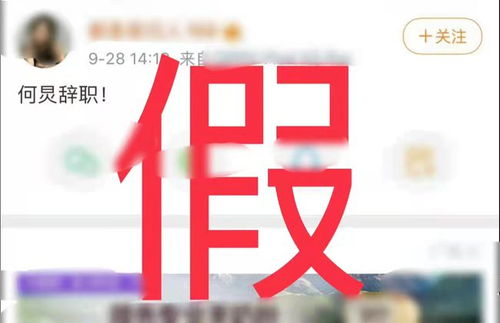 年薪18.5万刀的公司高管辞职做OnlyFans：我变快乐了