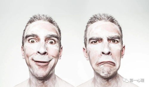 三种被低估的奎爷微类型 三种被低估的奎爷微类型