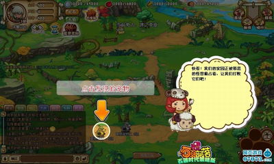 石器部落新手立即避坑，官方隐藏数据与实战培养路线图