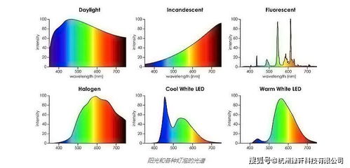 Showtime类型的本质，表演性与实战性的光谱分布