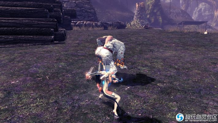 剑灵白鸟之翼是时装还是轻功？2026年最新获取途径与实战价值全解析