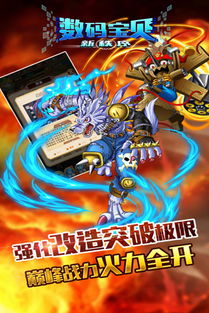 数码宝贝新世纪，加布兽隐藏进化链与极限输出Build全揭秘