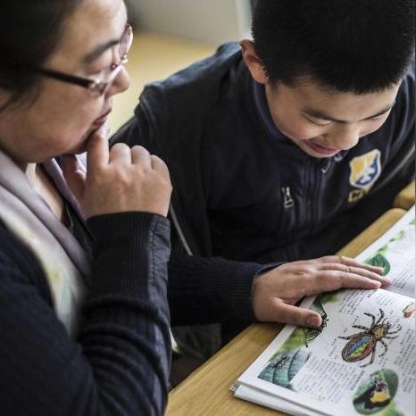 一、技术层级分类，从底层驱动到应用层的完整生态