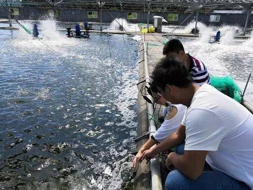 养虾人现第一批反噬情况,个人信息毫无保障随意遭曝光 养虾人现第一批反噬情况,个人信息毫无保障随意遭曝光