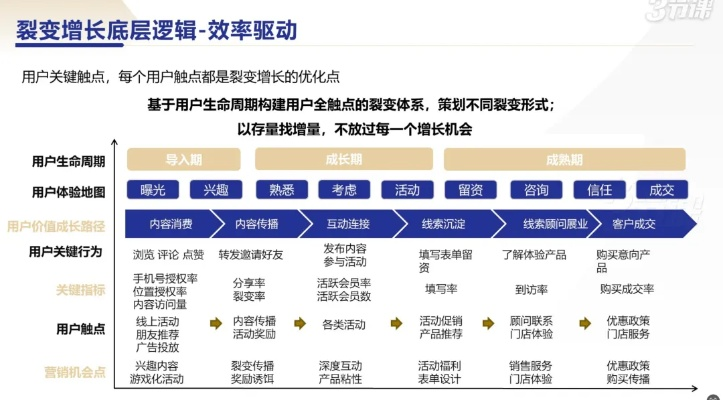 2026年私服站长生存指南，从攻防战到变现链的完整破局路径