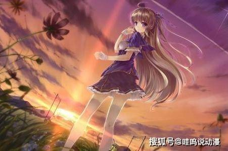 知名盗版动漫网站HiAnime关停，人生逐梦，各自奔赴精彩之路