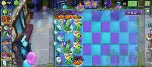 植物大战僵尸2无尽模式800关突破实录，2026年Q1最新植物配比黑箱解析