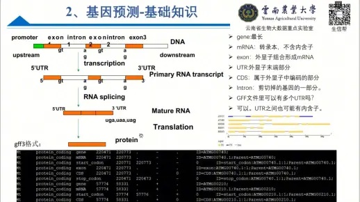 2026古武基因解码，从入门到精通的全流派实战指南