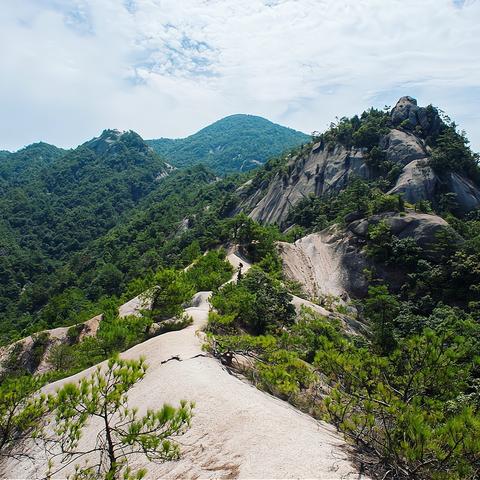 红色沙漠新手村徒步4小时才能出？玩家质疑，大就一定好吗？