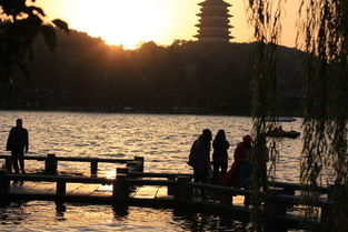 showtooltip 夕照雷峰