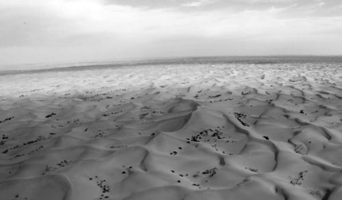 直面质疑！红色沙漠20分钟PS5基础版实机画面重新创作曝光