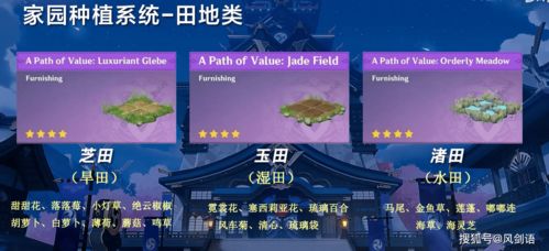 稻妻野棕刷新机制破解，90%玩家不知道的3小时满刷路线