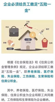 2026应届生900万洪流，3个月黄金突围期的生存指南与暗门渠道