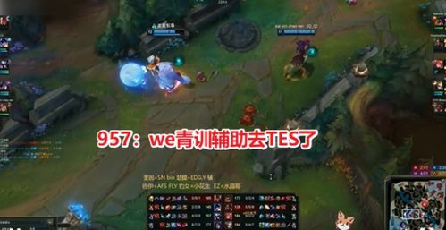 2026游戏马行类型终极解码，从战马属性到配装策略的完整通关指南