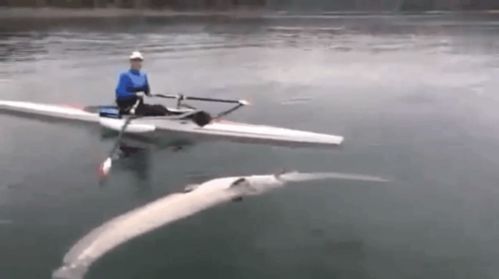 2026年海上钓鱼装备怎么选？资深玩家揭秘3大场景匹配法则